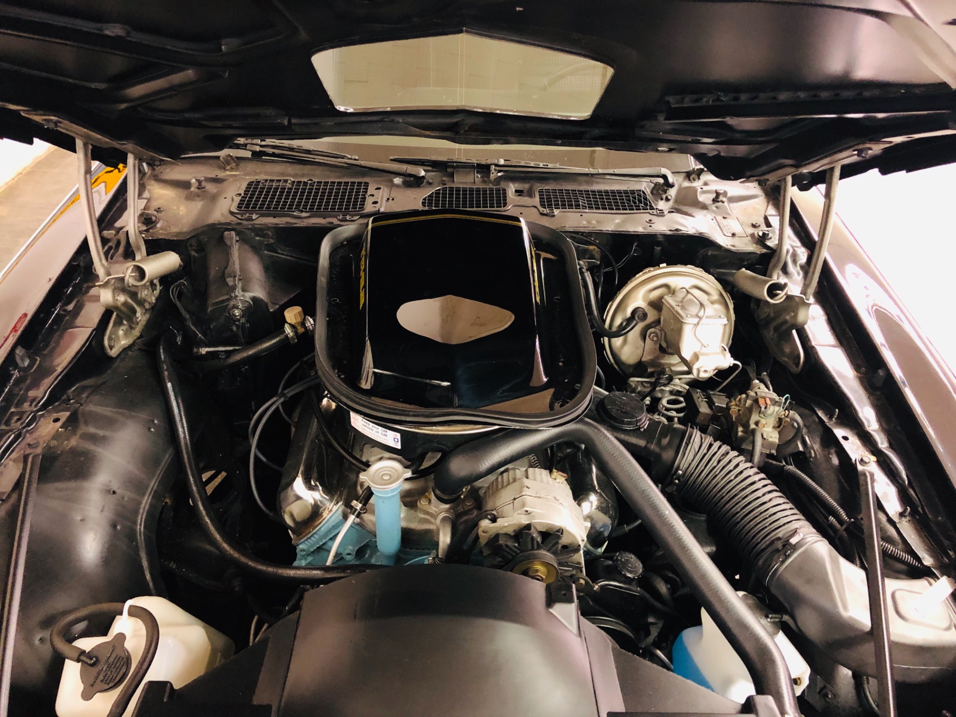 Used 1979 Pontiac Trans Am -MATCHING NUMBERS-SEE VIDEO | Mundelein, IL