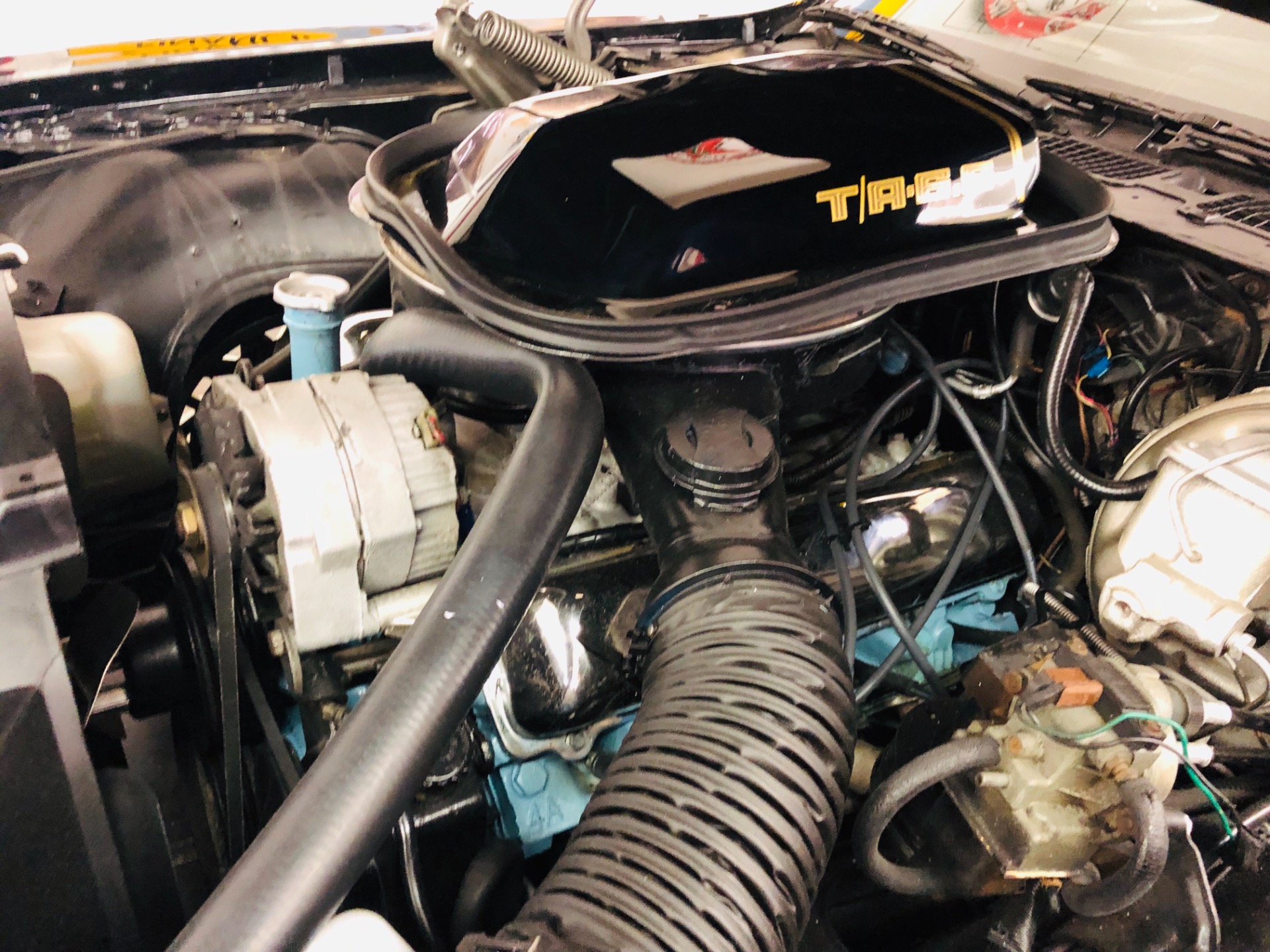 Used 1979 Pontiac Trans Am -MATCHING NUMBERS-SEE VIDEO | Mundelein, IL