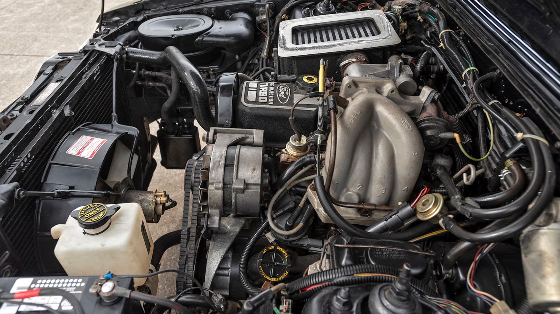 Used 1984 Ford Mustang -SVO-FACTORY TURBO ENGINE-RARE CLASSIC-SEE VIDEO | Mundelein, IL