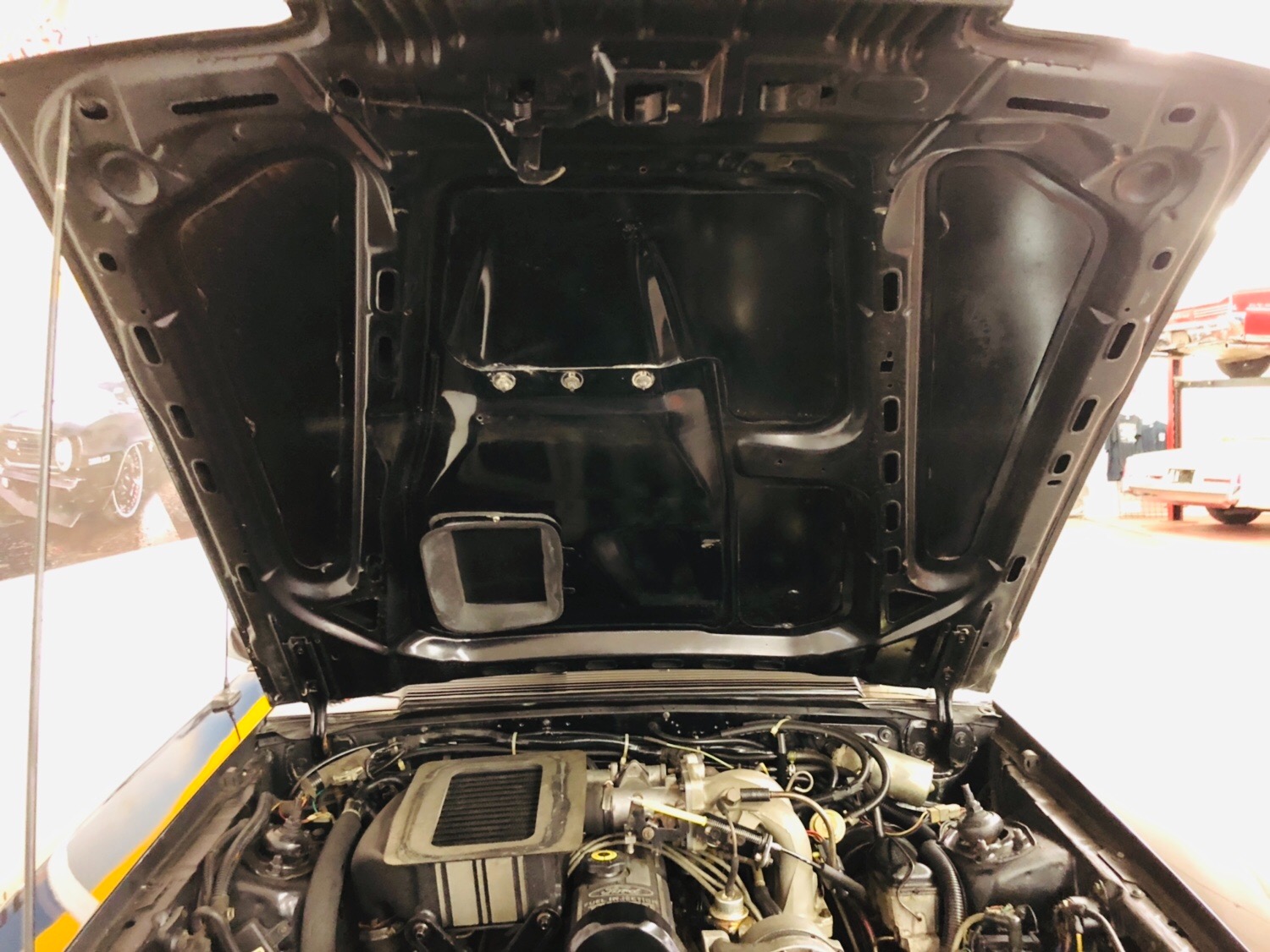Used 1984 Ford Mustang -SVO-FACTORY TURBO ENGINE-RARE CLASSIC-SEE VIDEO | Mundelein, IL