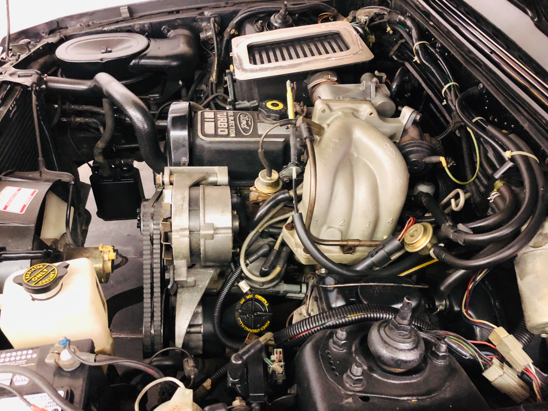 Used 1984 Ford Mustang -SVO-FACTORY TURBO ENGINE-RARE CLASSIC-SEE VIDEO | Mundelein, IL