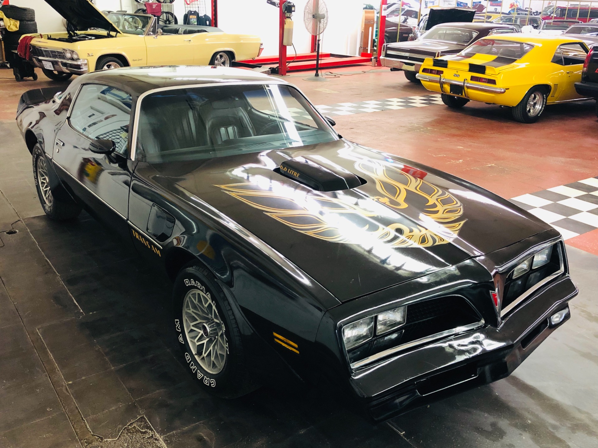 Used 1977 Pontiac Trans Am -FIRST YEAR OF THE BANDIT-SEE VIDEO | Mundelein, IL