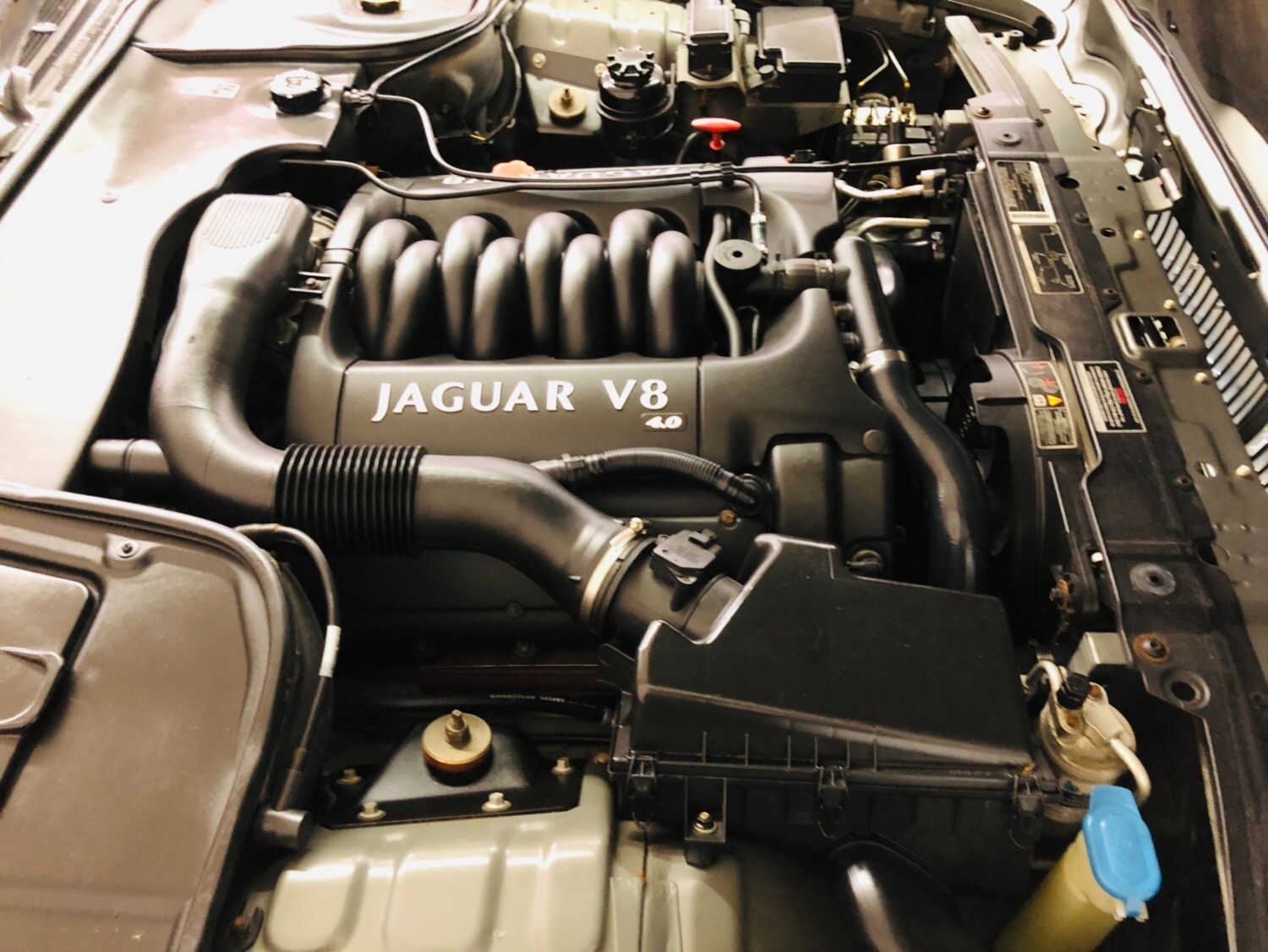 Used 2003 Jaguar XJ-Series -BUY WITH CONFIDENCE-2 OWNER - LOW MILES - SEE VIDEO | Mundelein, IL