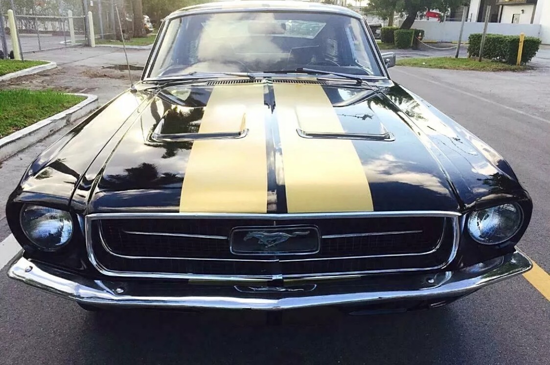 Used 1967 Ford Mustang -FASTBACK BLACK & GOLD REAL A CODE 289 AUTO | Mundelein, IL