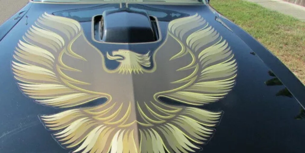 Used 1979 Pontiac Trans Am - T TOPS WITH 5 SPEED-AFFORDABLE CLASSIC-SEE VIDEO | Mundelein, IL