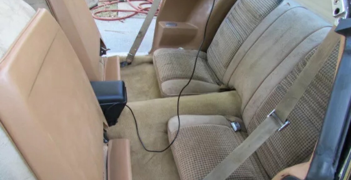 Used 1979 Pontiac Trans Am - T TOPS WITH 5 SPEED-AFFORDABLE CLASSIC-SEE VIDEO | Mundelein, IL