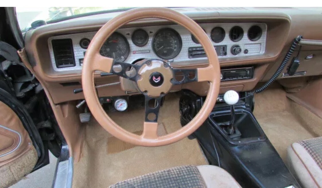 Used 1979 Pontiac Trans Am - T TOPS WITH 5 SPEED-AFFORDABLE CLASSIC-SEE VIDEO | Mundelein, IL