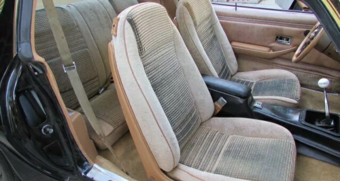 Used 1979 Pontiac Trans Am - T TOPS WITH 5 SPEED-AFFORDABLE CLASSIC-SEE VIDEO | Mundelein, IL
