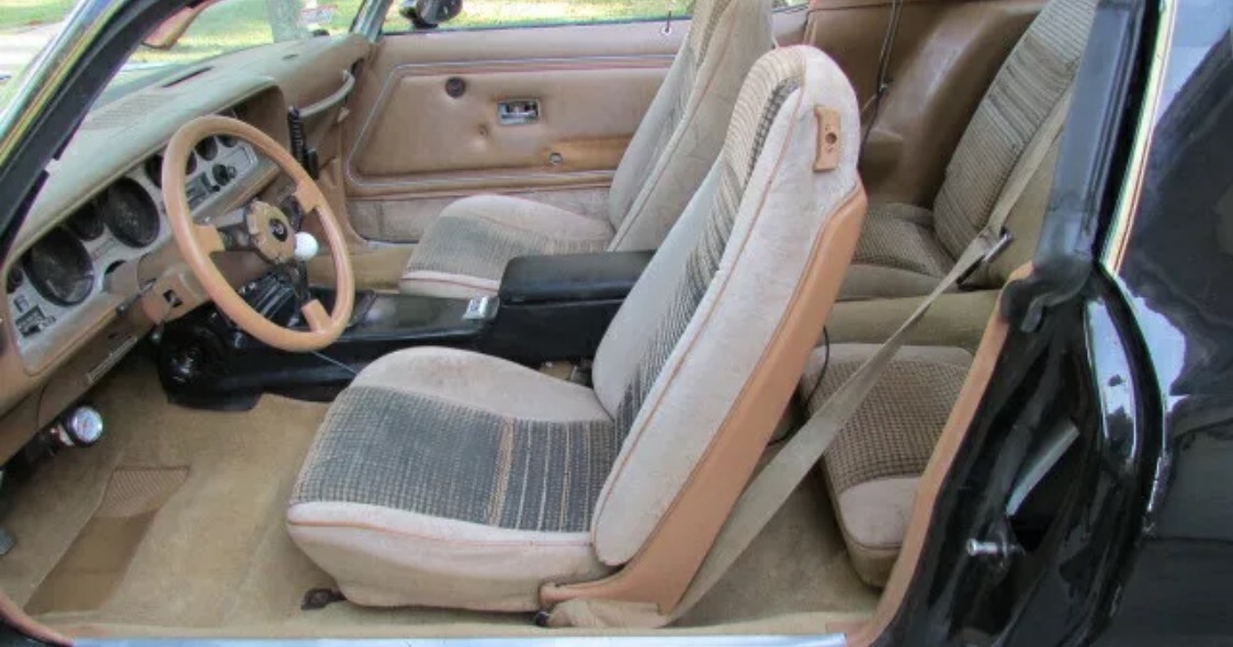 Used 1979 Pontiac Trans Am - T TOPS WITH 5 SPEED-AFFORDABLE CLASSIC-SEE VIDEO | Mundelein, IL