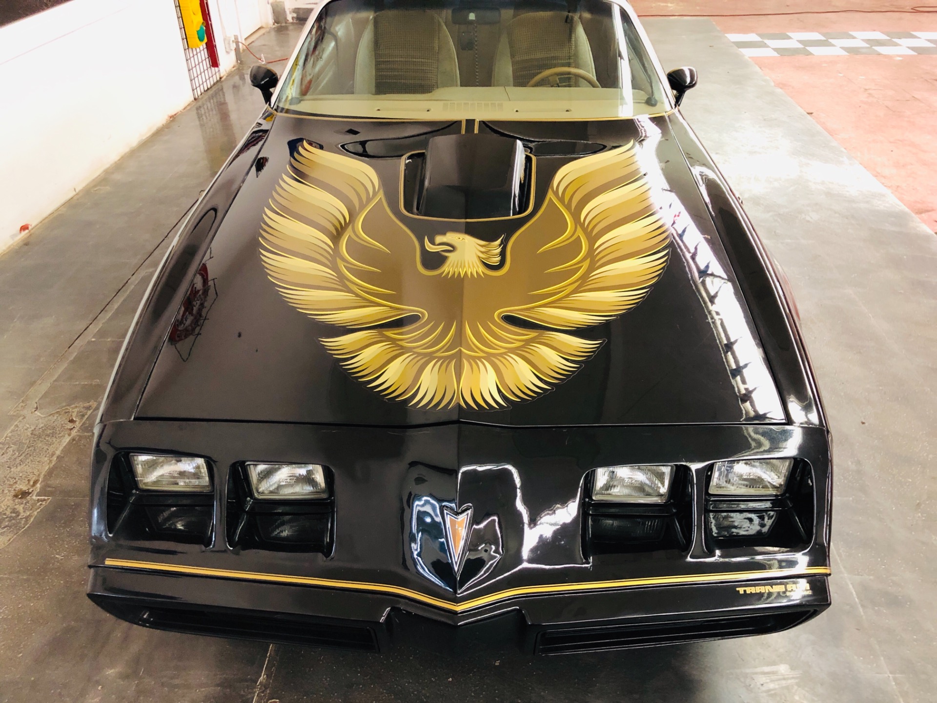 Used 1979 Pontiac Trans Am - T TOPS WITH 5 SPEED-AFFORDABLE CLASSIC-SEE VIDEO | Mundelein, IL