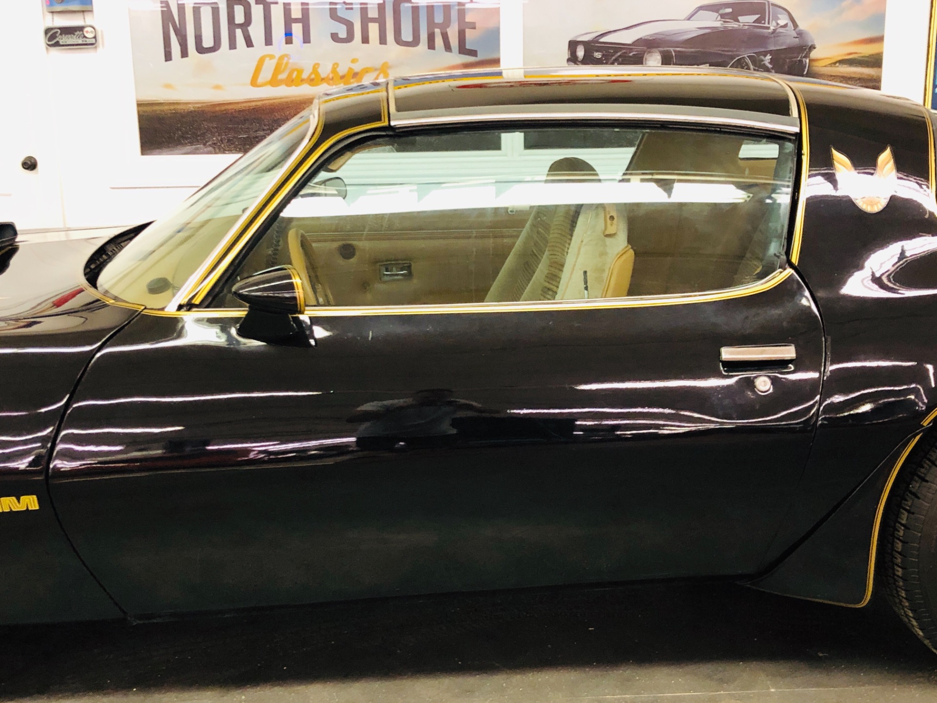 Used 1979 Pontiac Trans Am - T TOPS WITH 5 SPEED-AFFORDABLE CLASSIC-SEE VIDEO | Mundelein, IL