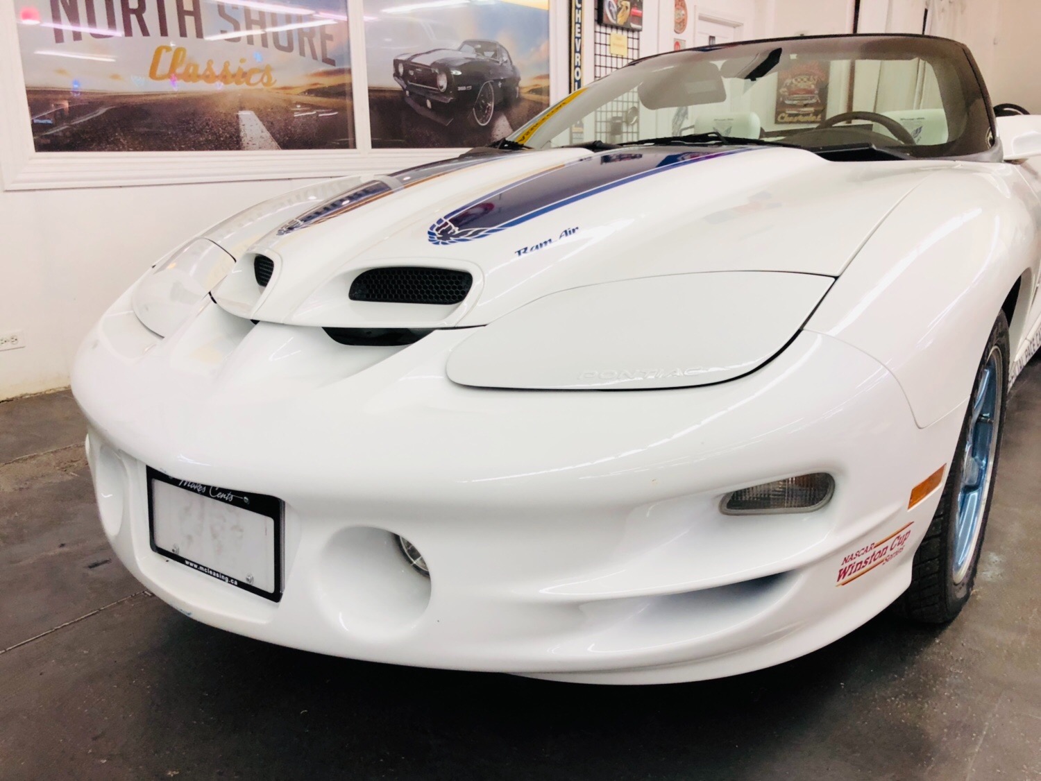 Used 1999 Pontiac Trans Am -OFFICIAL PACE CAR -3 months / 3,000 miles WARRANTY-BUY WITH CONFIDENCE- | Mundelein, IL