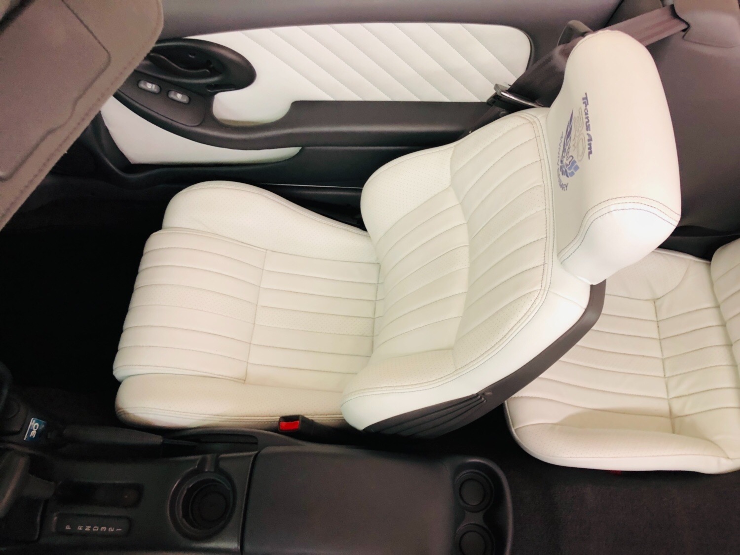 Used 1999 Pontiac Trans Am -OFFICIAL PACE CAR -3 months / 3,000 miles WARRANTY-BUY WITH CONFIDENCE- | Mundelein, IL