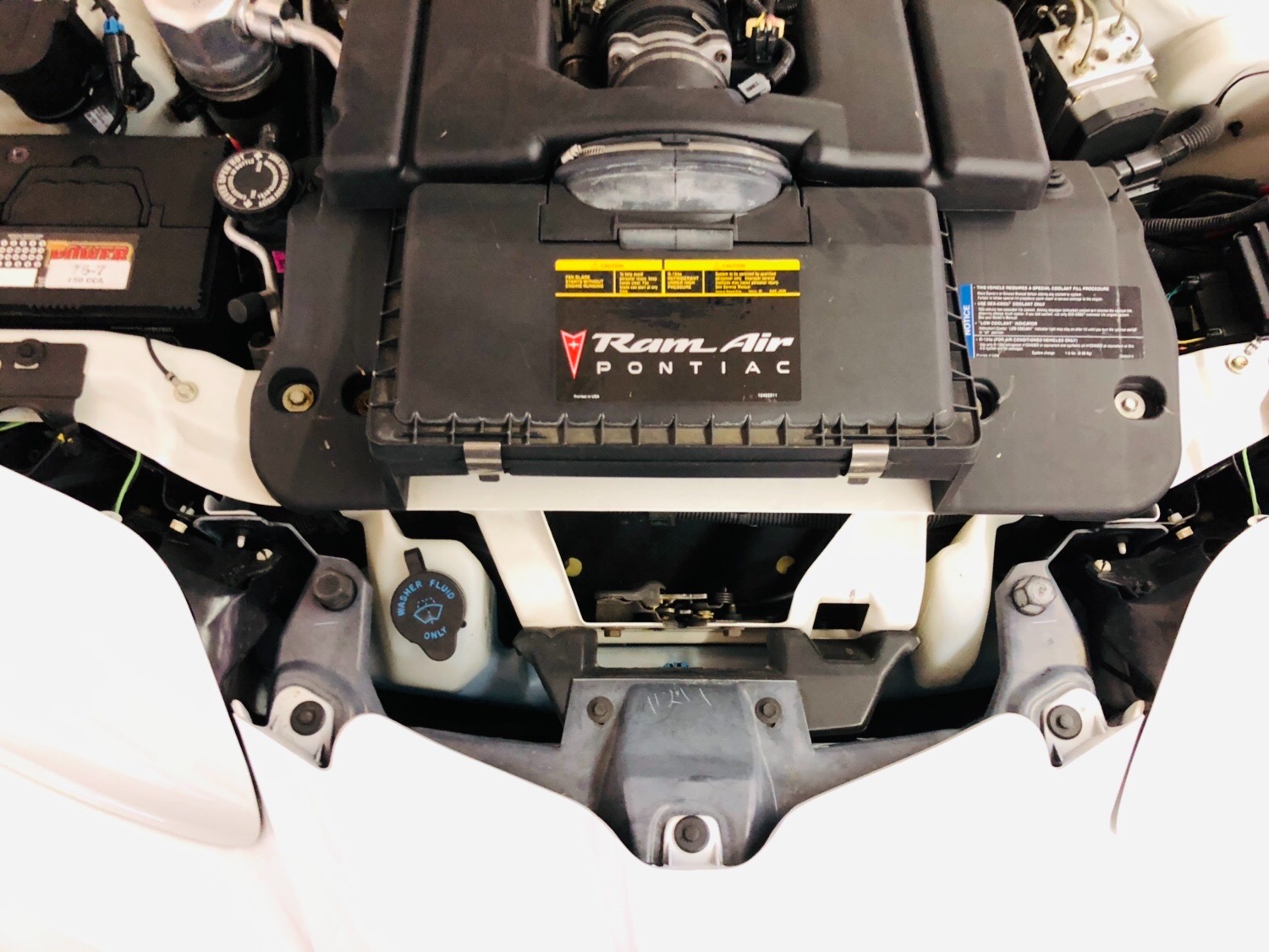 Used 1999 Pontiac Trans Am -OFFICIAL PACE CAR -3 months / 3,000 miles WARRANTY-BUY WITH CONFIDENCE- | Mundelein, IL
