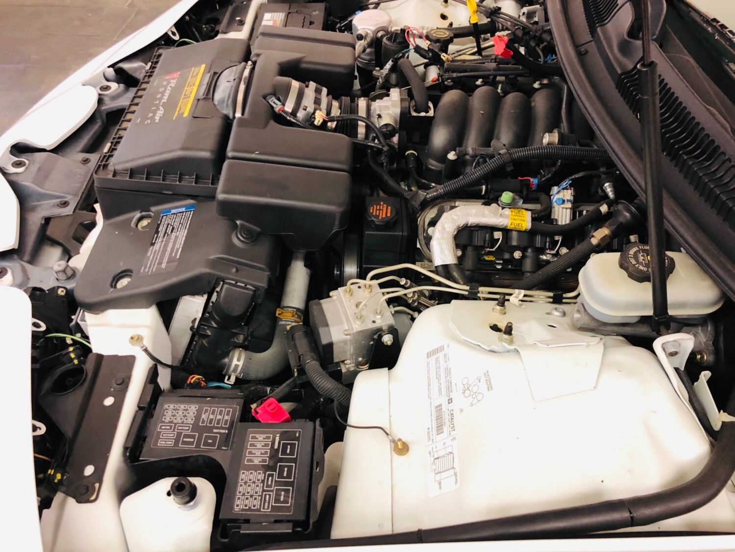 Used 1999 Pontiac Trans Am -OFFICIAL PACE CAR -3 months / 3,000 miles WARRANTY-BUY WITH CONFIDENCE- | Mundelein, IL