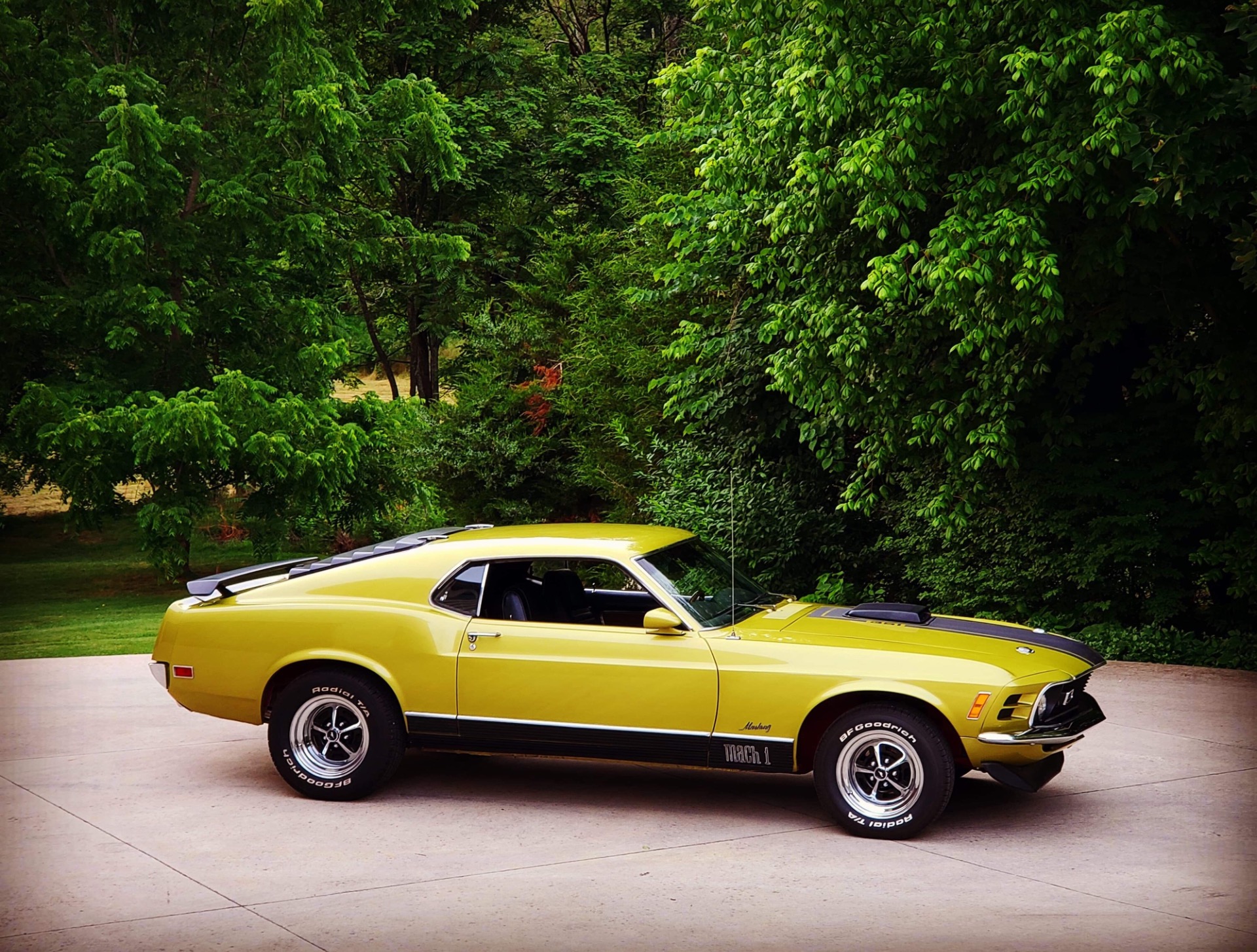 Used 1970 Ford Mustang -MACH 1 | Mundelein, IL