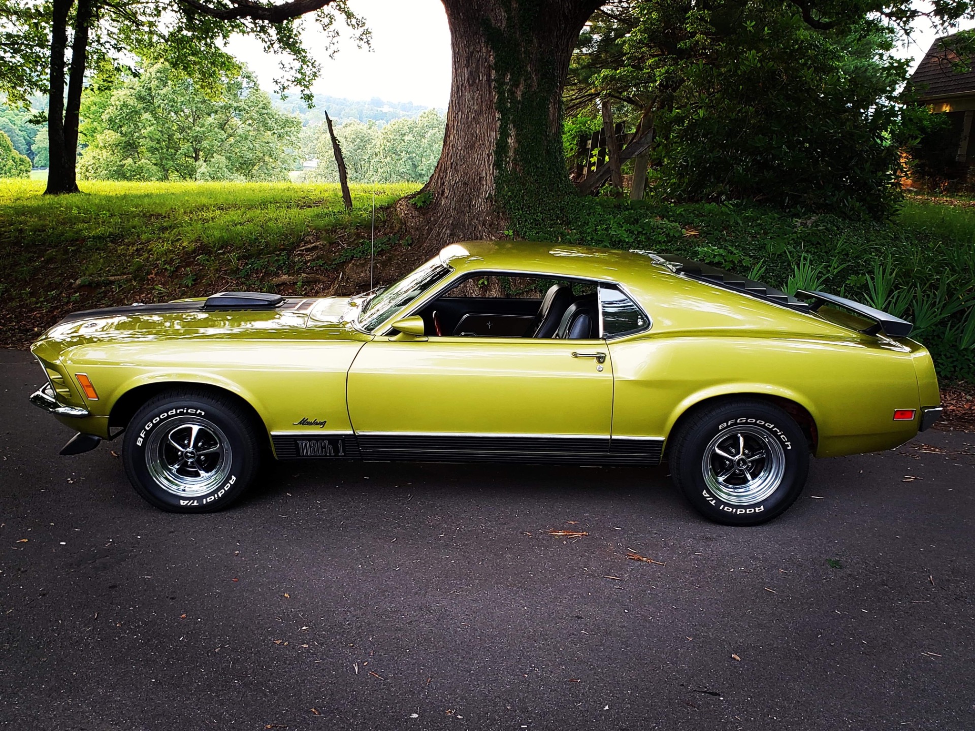 Used 1970 Ford Mustang -MACH 1 | Mundelein, IL
