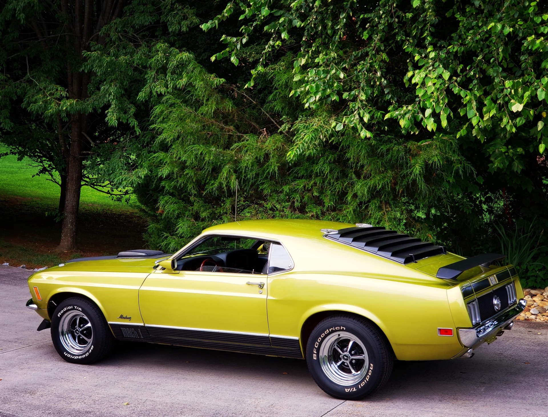 Used 1970 Ford Mustang -MACH 1 | Mundelein, IL