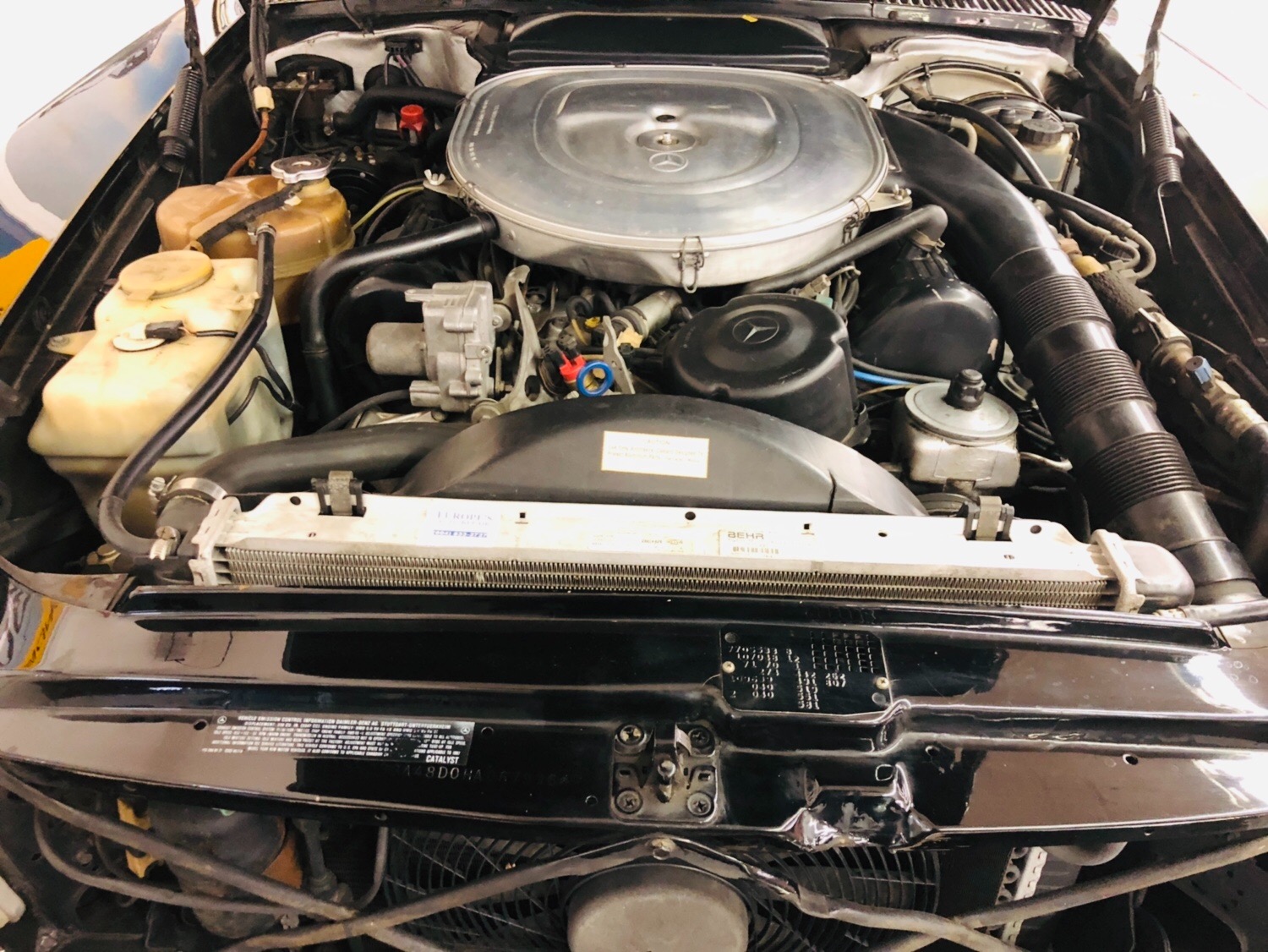 Used 1987 Mercedes-Benz 560 SL - VERY CLEAN CONVERTIBLE - PRICE DROP - SEE VIDEO | St. Petersburg, FL