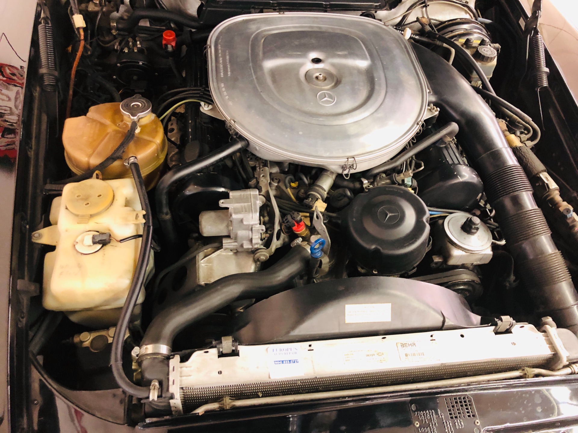 Used 1987 Mercedes-Benz 560 SL - VERY CLEAN CONVERTIBLE - PRICE DROP - SEE VIDEO | St. Petersburg, FL
