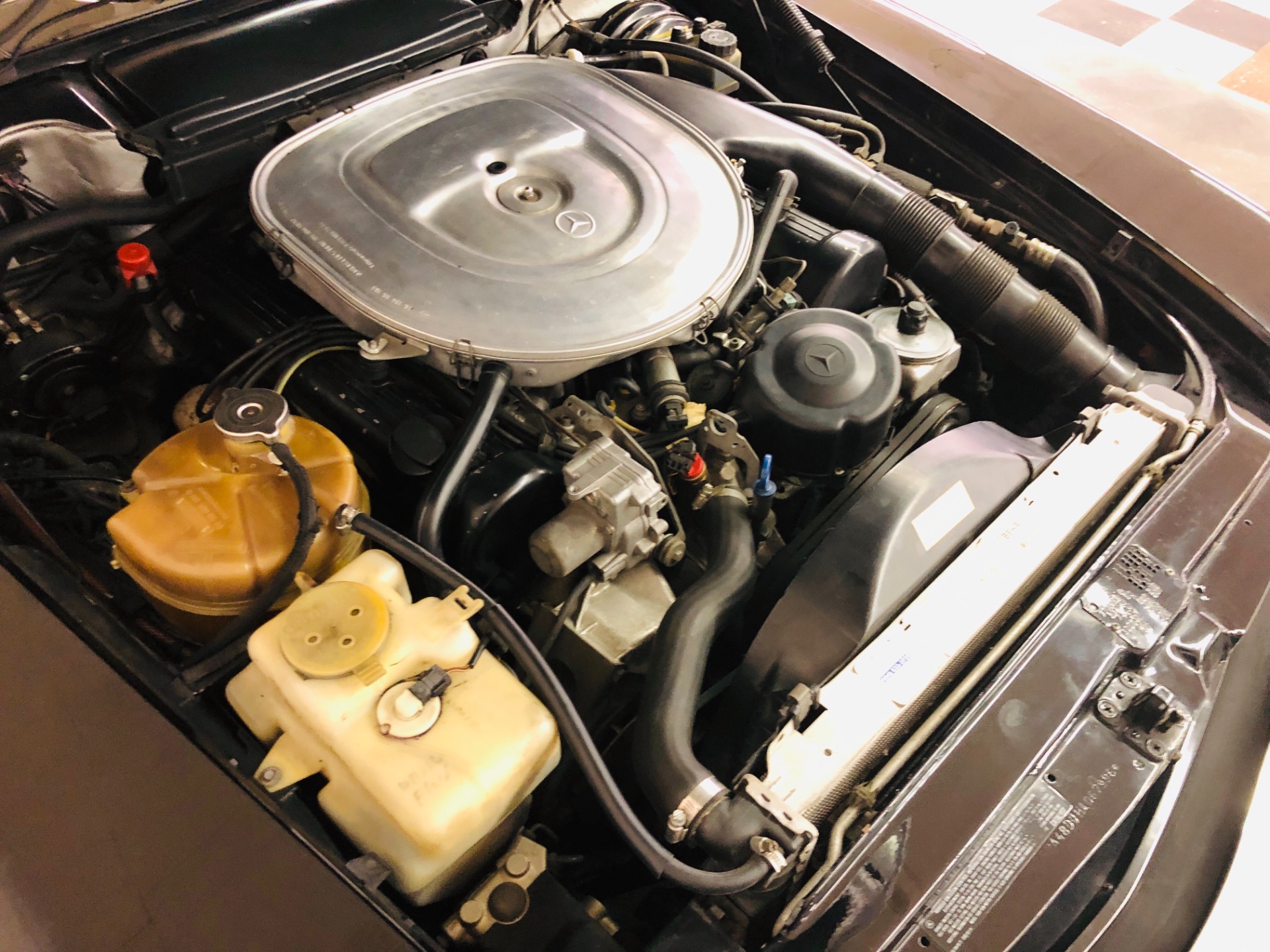 Used 1987 Mercedes-Benz 560 SL - VERY CLEAN CONVERTIBLE - PRICE DROP - SEE VIDEO | St. Petersburg, FL
