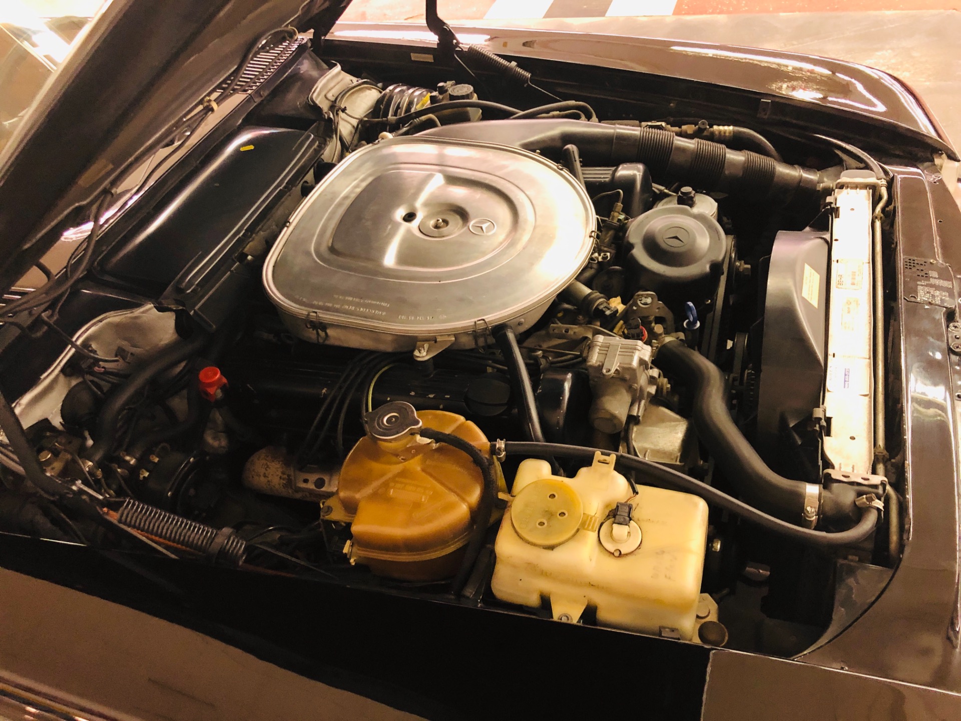 Used 1987 Mercedes-Benz 560 SL - VERY CLEAN CONVERTIBLE - PRICE DROP - SEE VIDEO | St. Petersburg, FL