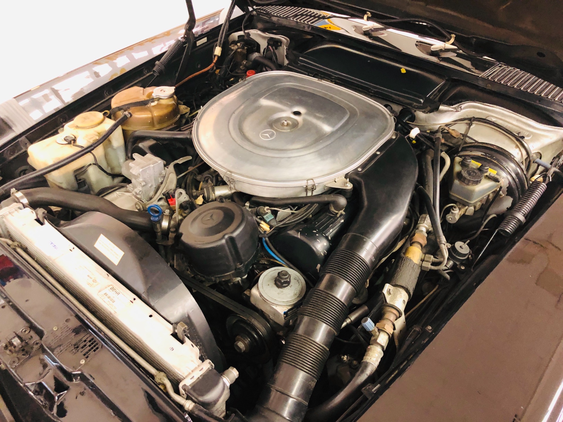 Used 1987 Mercedes-Benz 560 SL - VERY CLEAN CONVERTIBLE - PRICE DROP - SEE VIDEO | St. Petersburg, FL