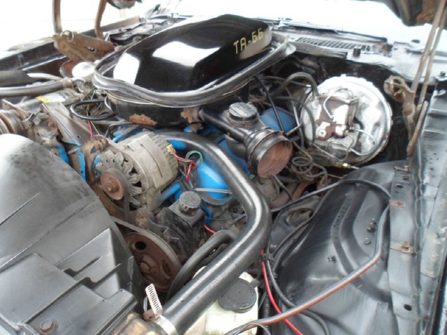 Used 1977 Pontiac Trans Am Smokey & the Bandit look-Numbers Matching | Mundelein, IL