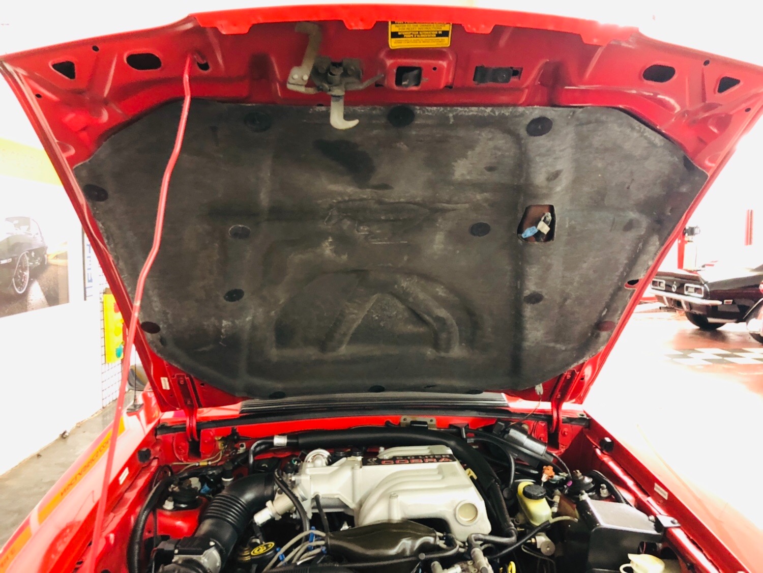 Used 1993 Ford Mustang -SVT COBRA 30k MILES-CLEAN AUTOCHECK-4 OWNER-HATCHBACK-SEE VIDEO | Mundelein, IL