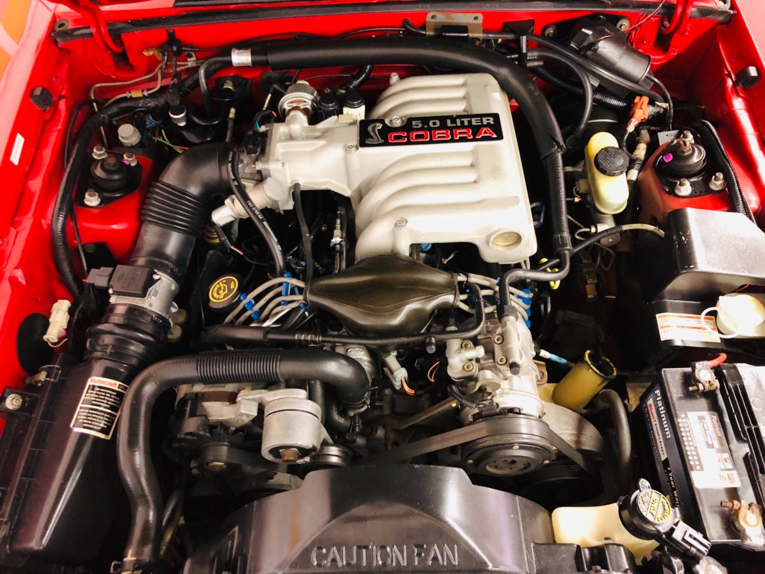 Used 1993 Ford Mustang -SVT COBRA 30k MILES-CLEAN AUTOCHECK-4 OWNER-HATCHBACK-SEE VIDEO | Mundelein, IL