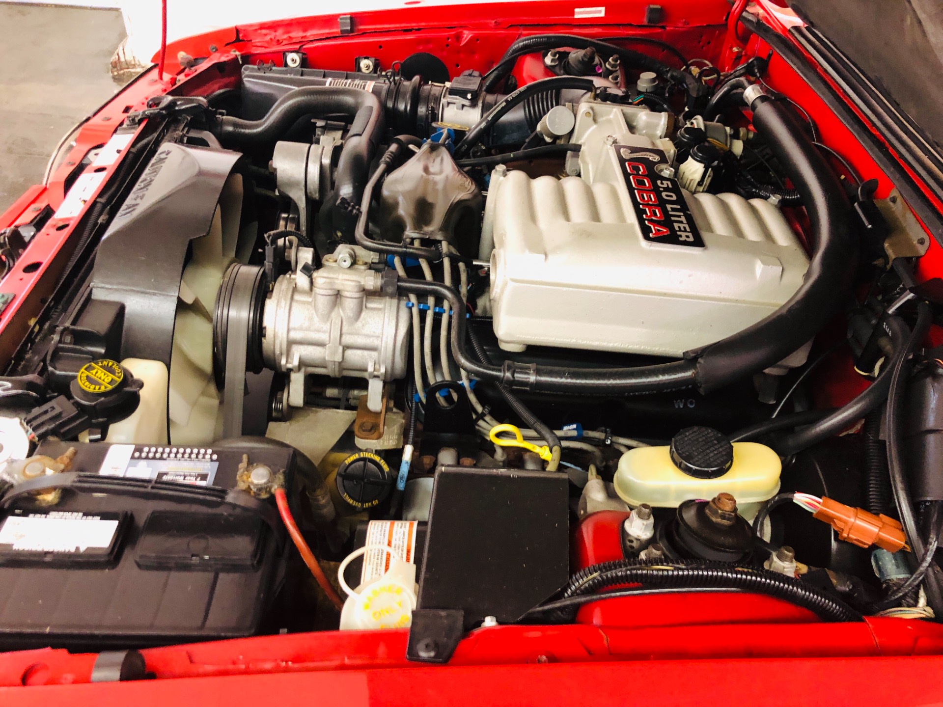 Used 1993 Ford Mustang -SVT COBRA 30k MILES-CLEAN AUTOCHECK-4 OWNER-HATCHBACK-SEE VIDEO | Mundelein, IL