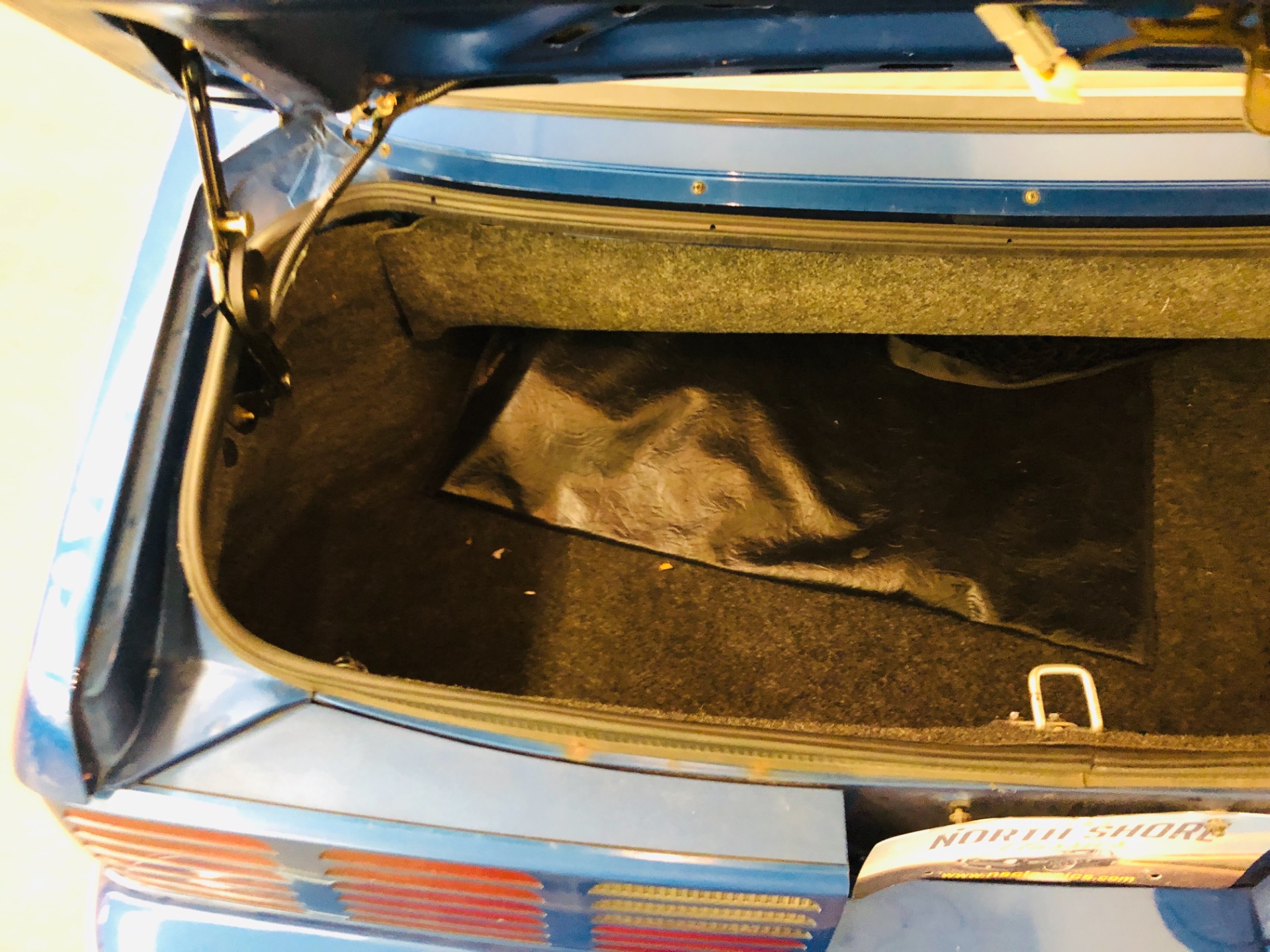 Used 1991 Ford Mustang GT-VERY GOOD CONDITION-MUST SEE-WE DELIVER | Mundelein, IL