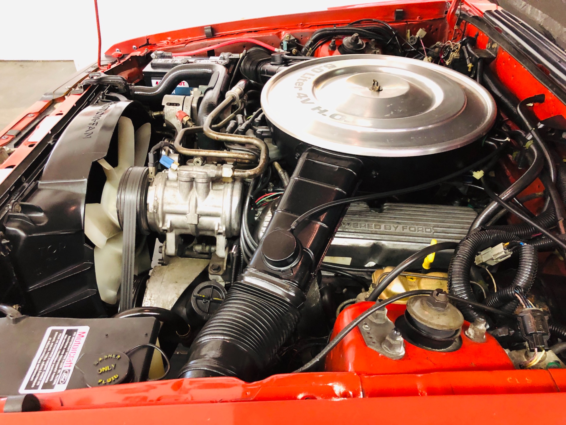 Used 1985 Ford Mustang -CONVERTIBLE GT - 5 SPEED - 43K ORIGINAL MILES - SEE VIDEO | Mundelein, IL