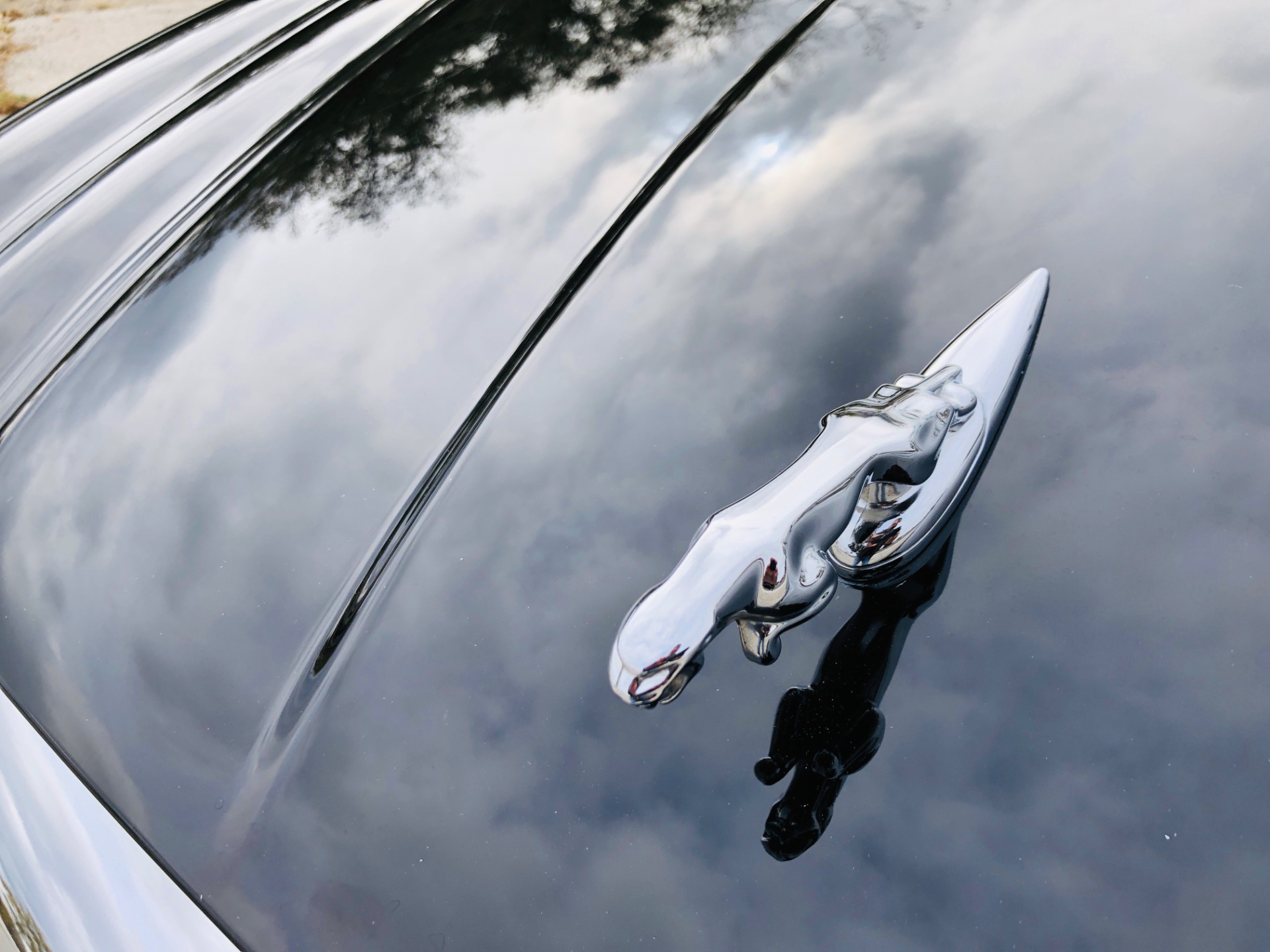 Used 2004 Jaguar XJ-Series XJ8 | Mundelein, IL
