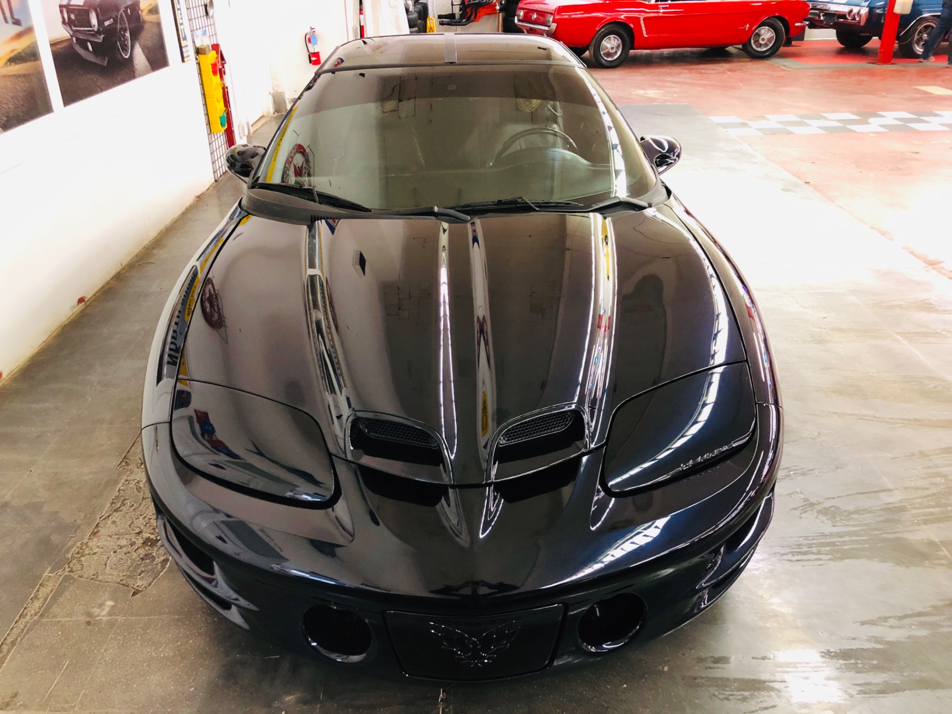 Used 2002 Pontiac Firebird - WS6 TRANS AM - SHOW QUALITY CUSTOM PAINT - SEE VIDEO | Mundelein, IL