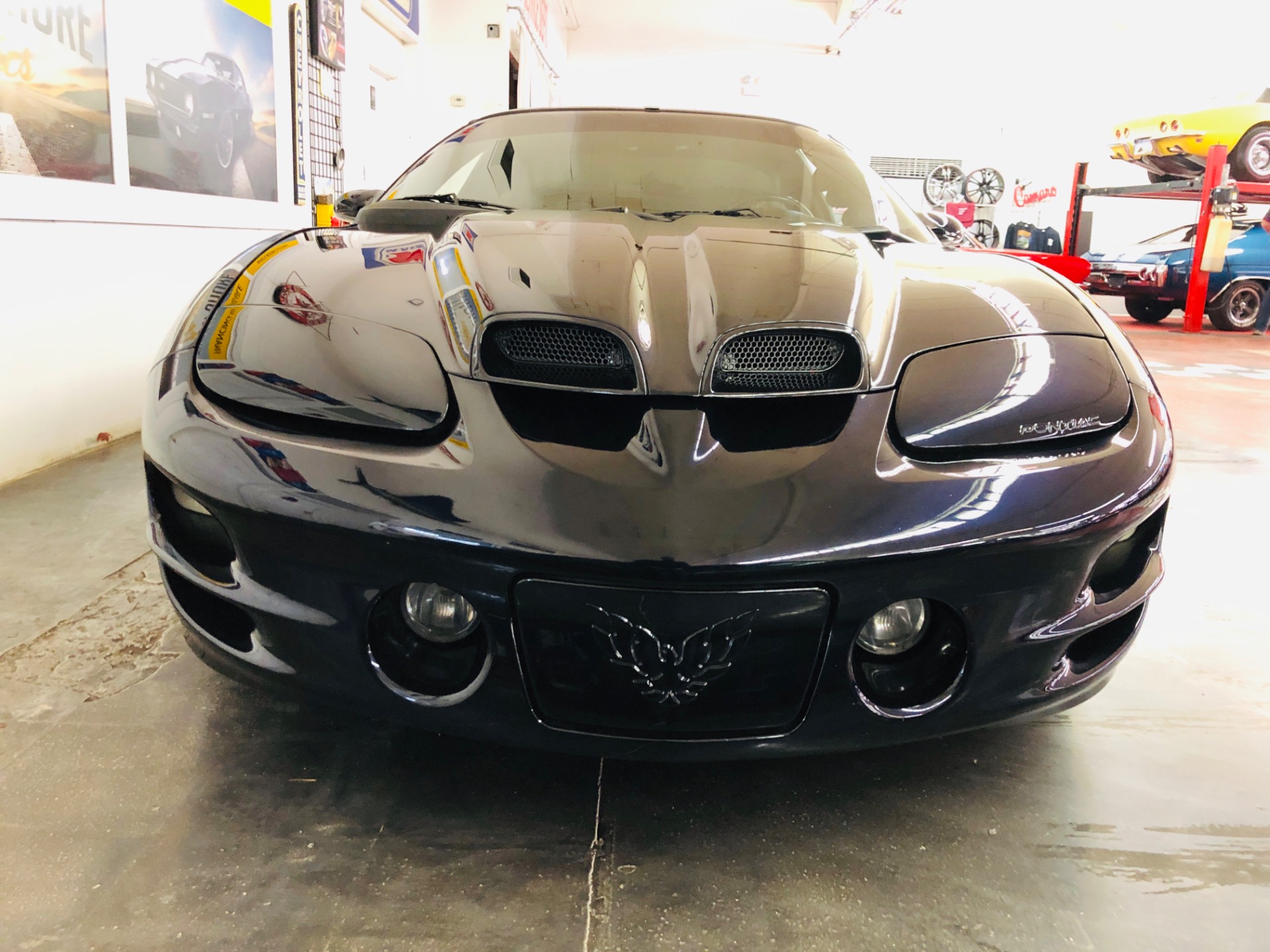 Used 2002 Pontiac Firebird - WS6 TRANS AM - SHOW QUALITY CUSTOM PAINT - SEE VIDEO | Mundelein, IL