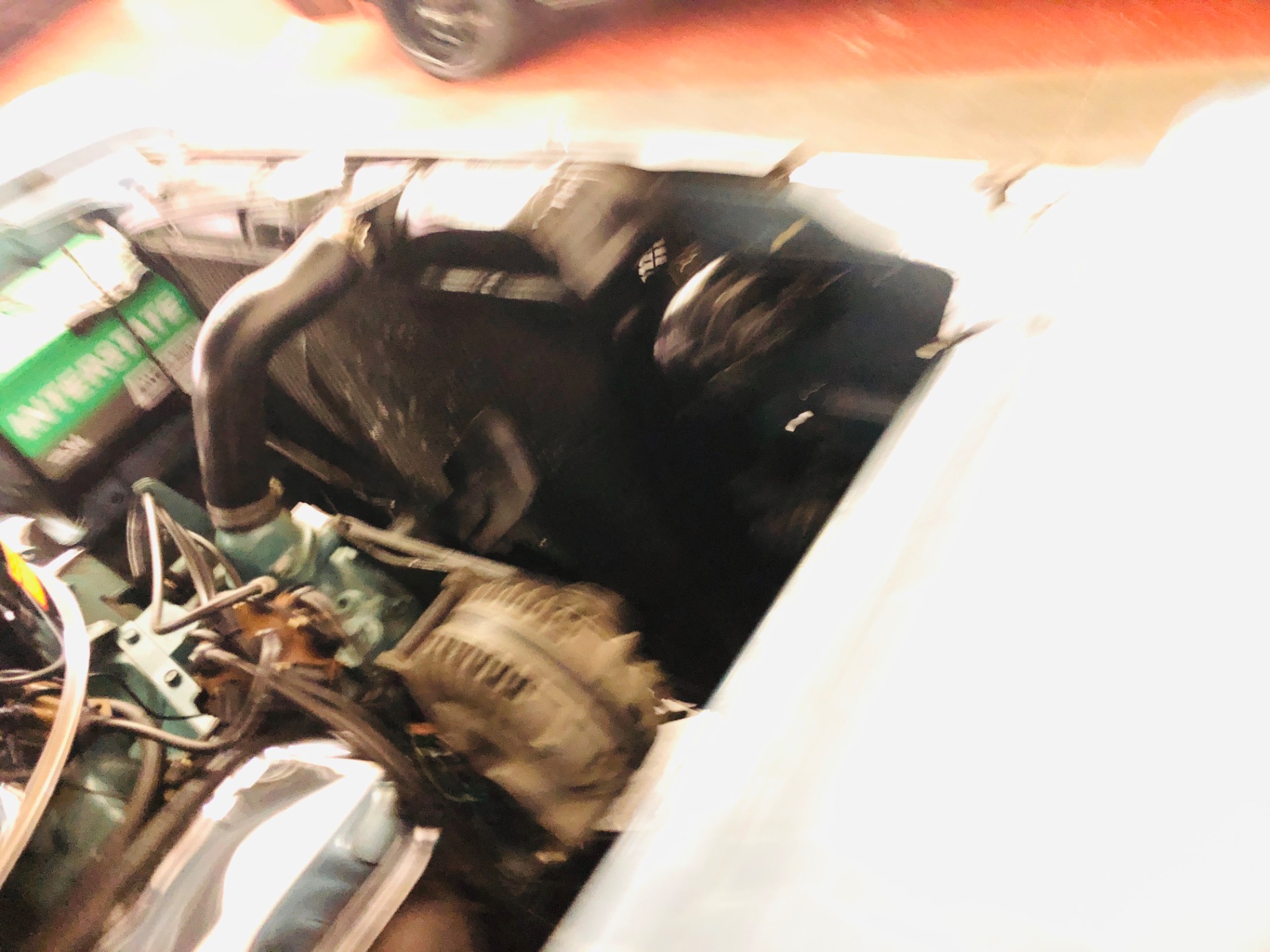 Used 1965 Plymouth Belvedere - 426 COMMANDO ENGINE - ORIGINAL SHEET METAL - 4 SPEED - SEE VIDEO | St. Petersburg, FL