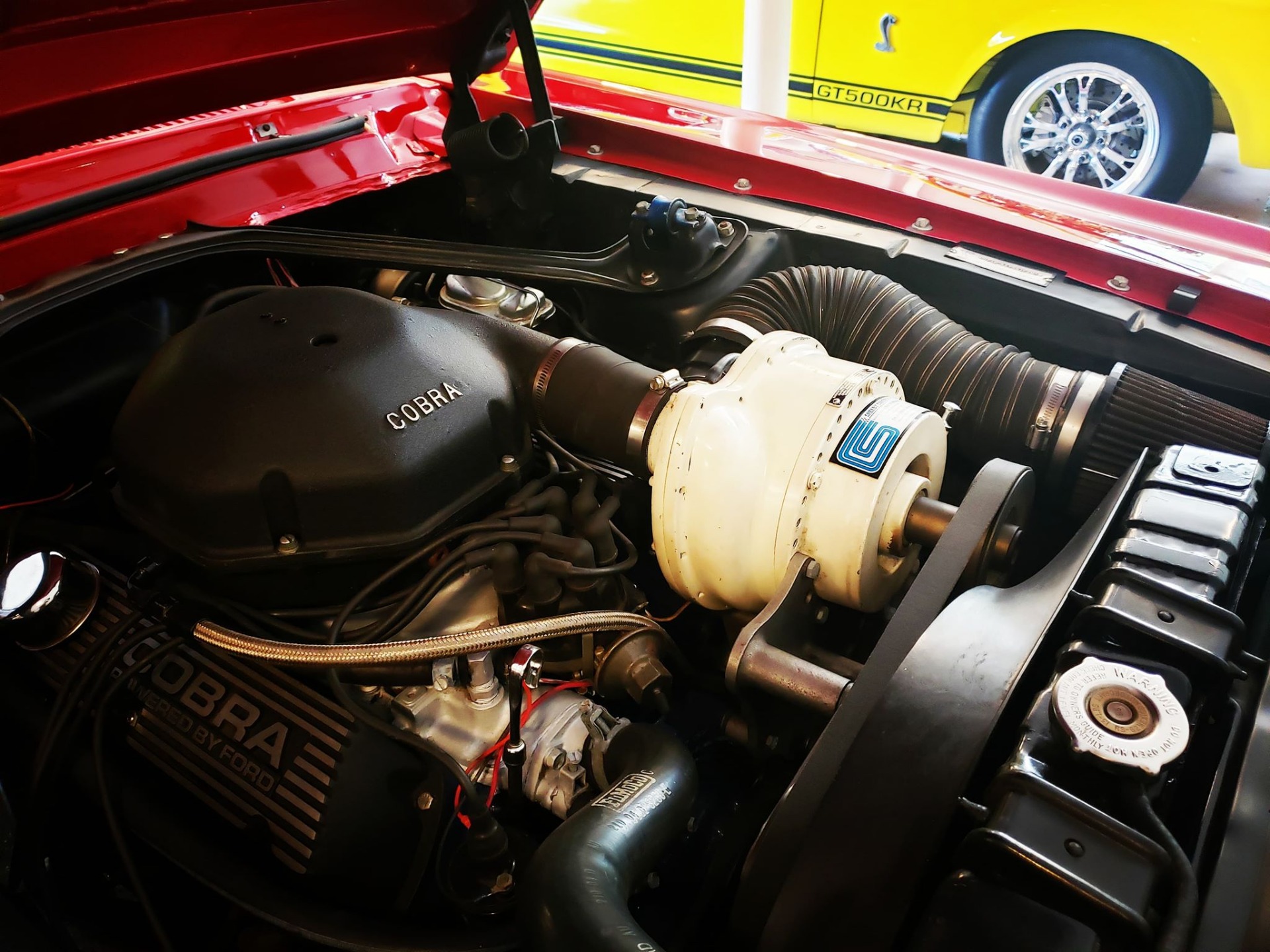 Used 1968 Ford Mustang Shelby GT 350 - SEE VIDEO | Mundelein, IL