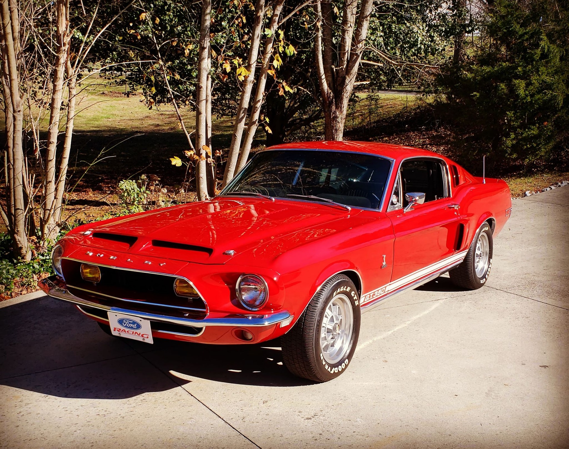 Used 1968 Ford Mustang Shelby GT 350 - SEE VIDEO | Mundelein, IL