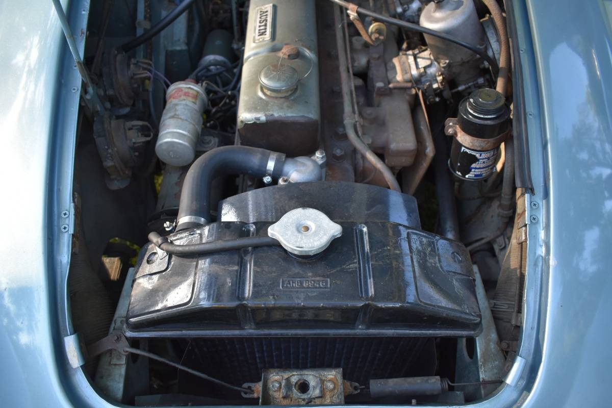 Used 1967 Austin Healey 3000 MK111 | St. Petersburg, FL