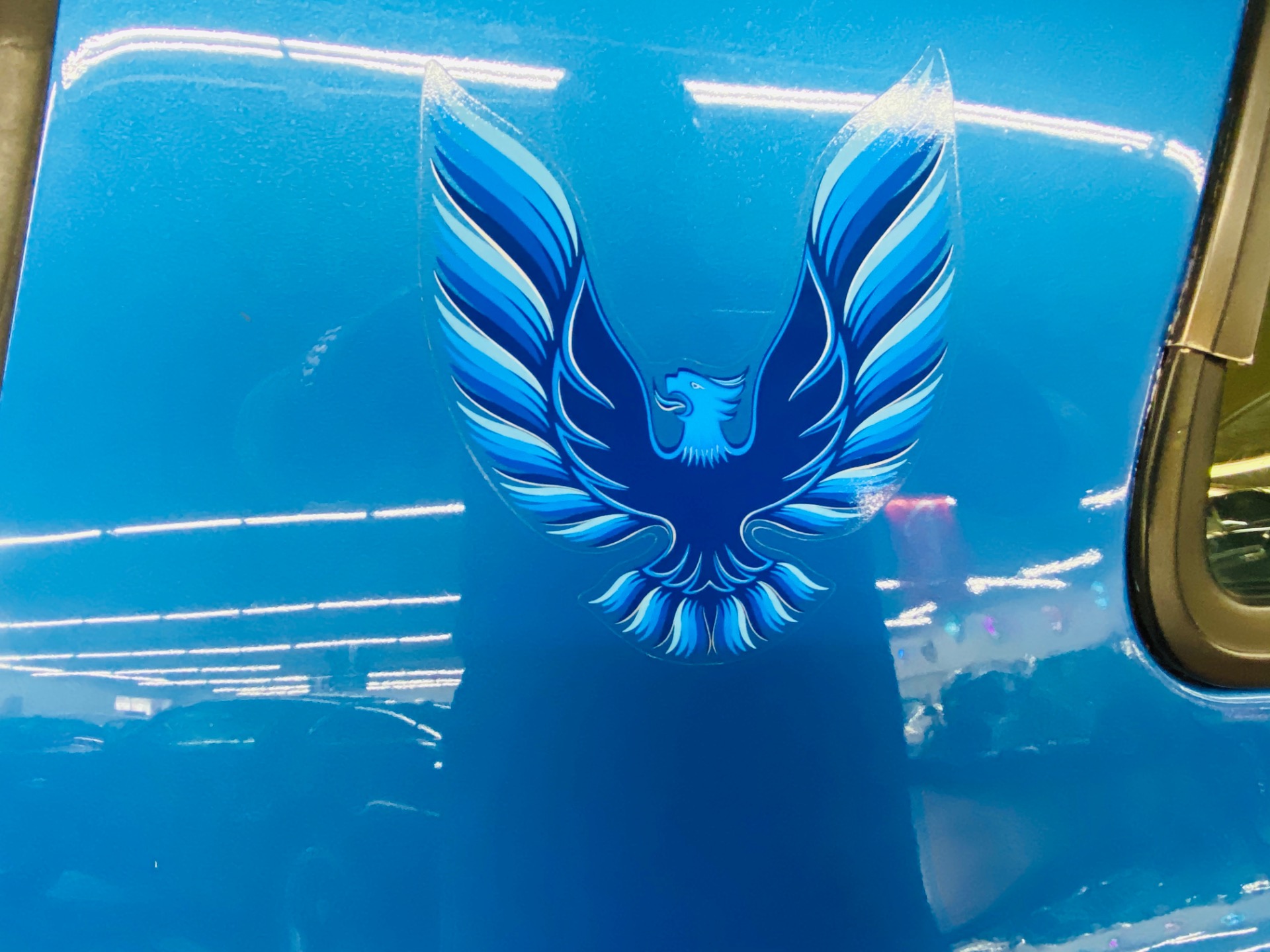 Used 1978 Pontiac Trans Am - 6.6L ENGINE - BRIGHT BLUE - SEE VIDEO | Mundelein, IL