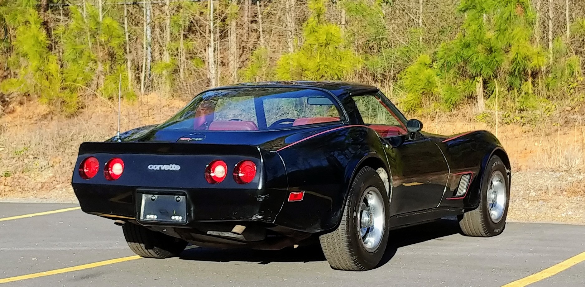 Used 1981 Chevrolet Corvette Survivor Car | Mundelein, IL