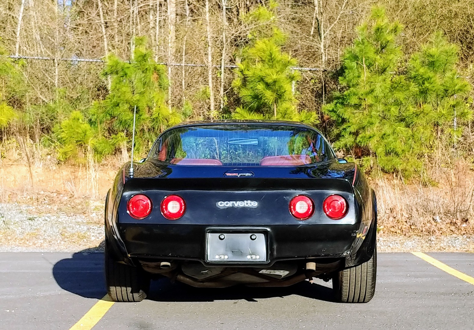 Used 1981 Chevrolet Corvette Survivor Car | Mundelein, IL