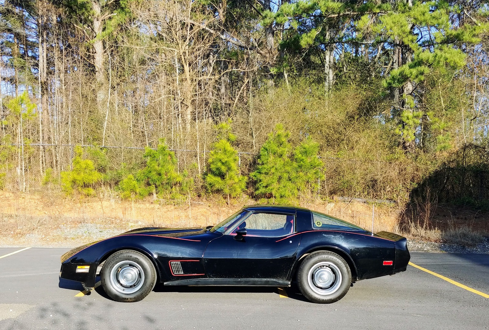 Used 1981 Chevrolet Corvette Survivor Car | Mundelein, IL