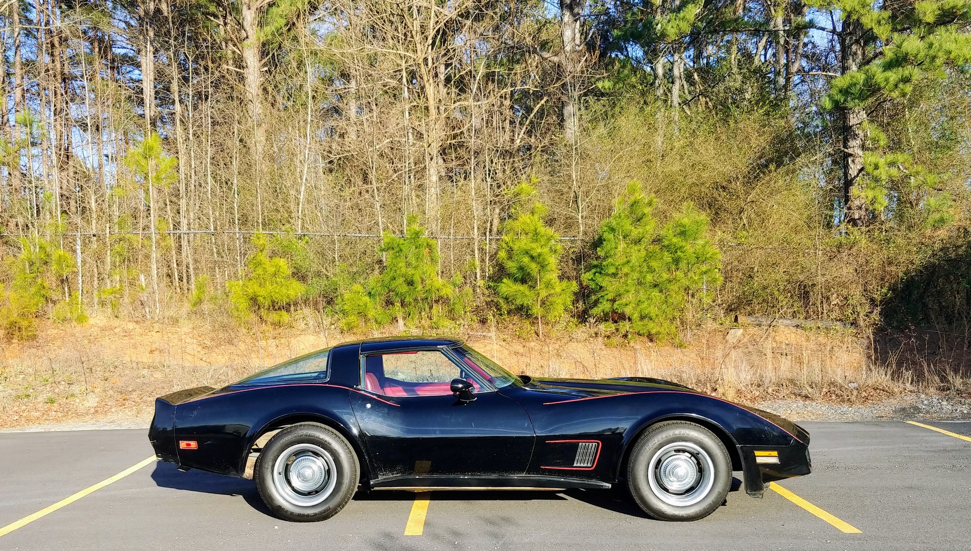 Used 1981 Chevrolet Corvette Survivor Car | Mundelein, IL