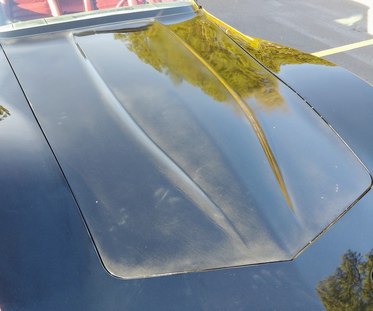 Used 1981 Chevrolet Corvette Survivor Car | Mundelein, IL