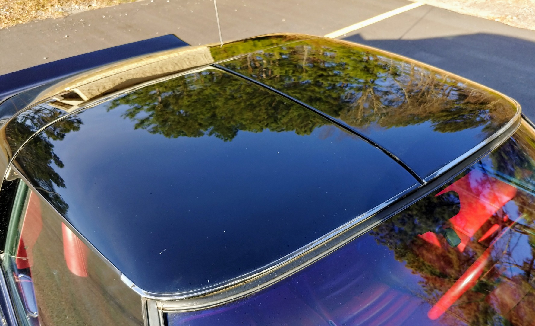 Used 1981 Chevrolet Corvette Survivor Car | Mundelein, IL