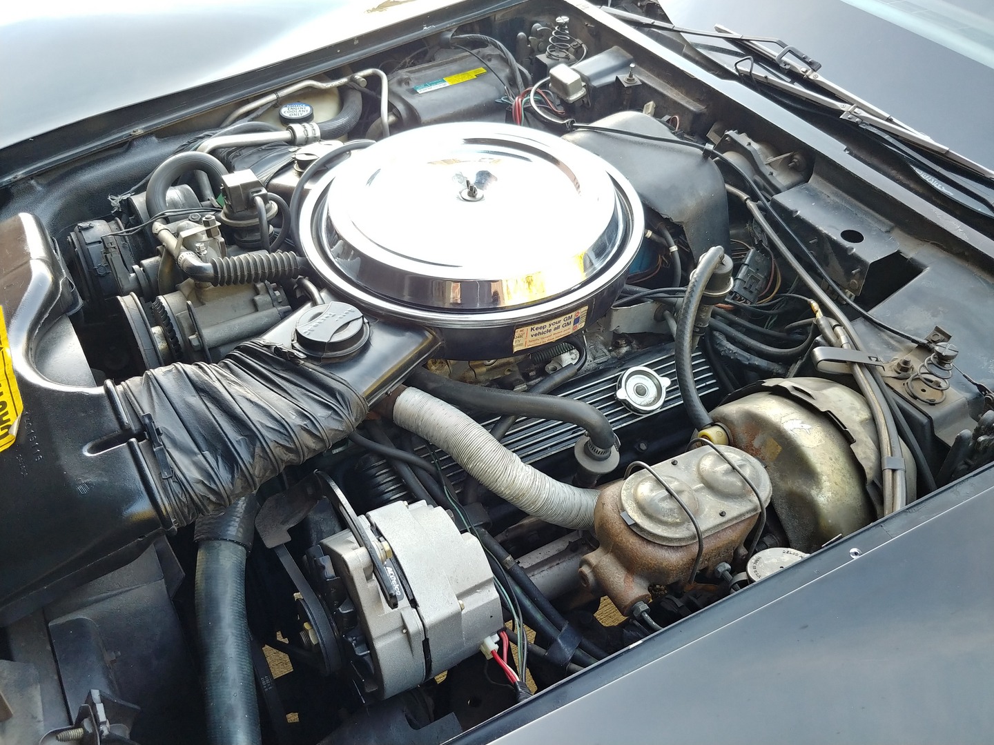 Used 1981 Chevrolet Corvette Survivor Car | Mundelein, IL