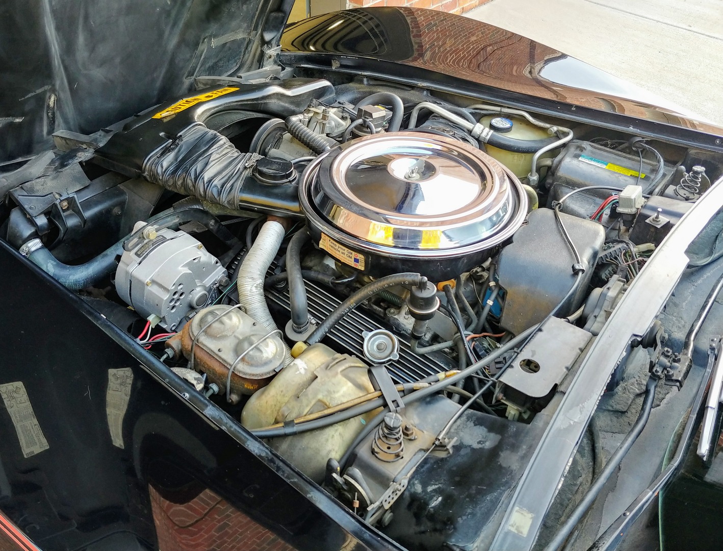 Used 1981 Chevrolet Corvette Survivor Car | Mundelein, IL