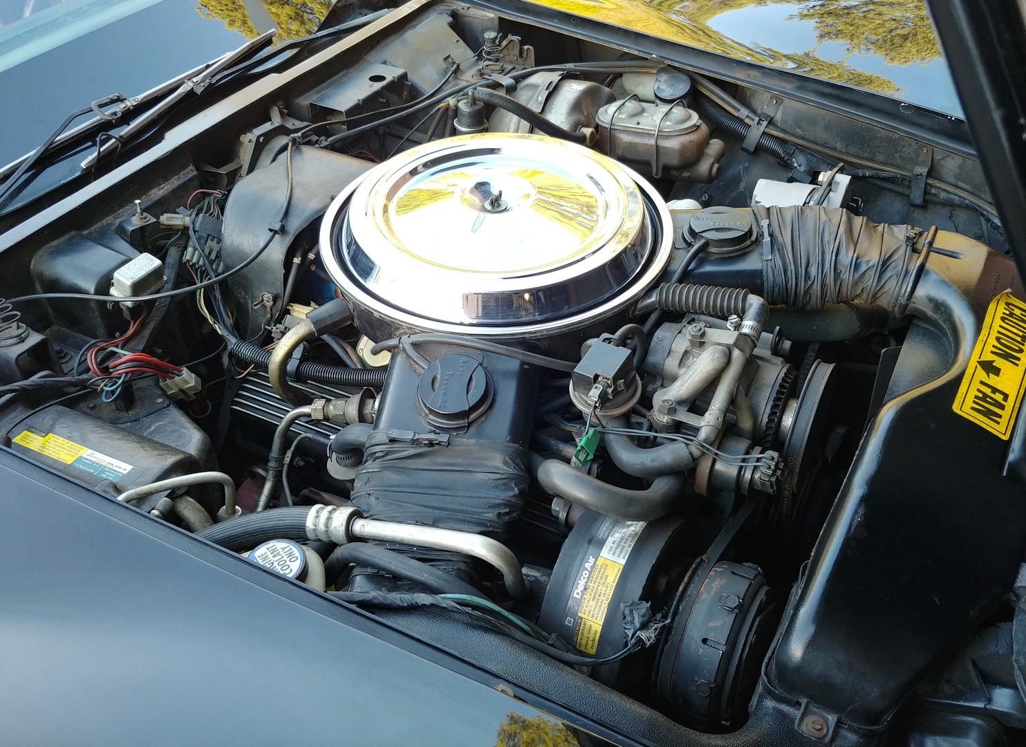 Used 1981 Chevrolet Corvette Survivor Car | Mundelein, IL